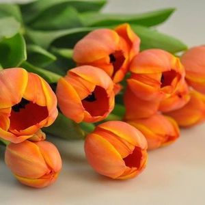 Meet your Posher, Julia